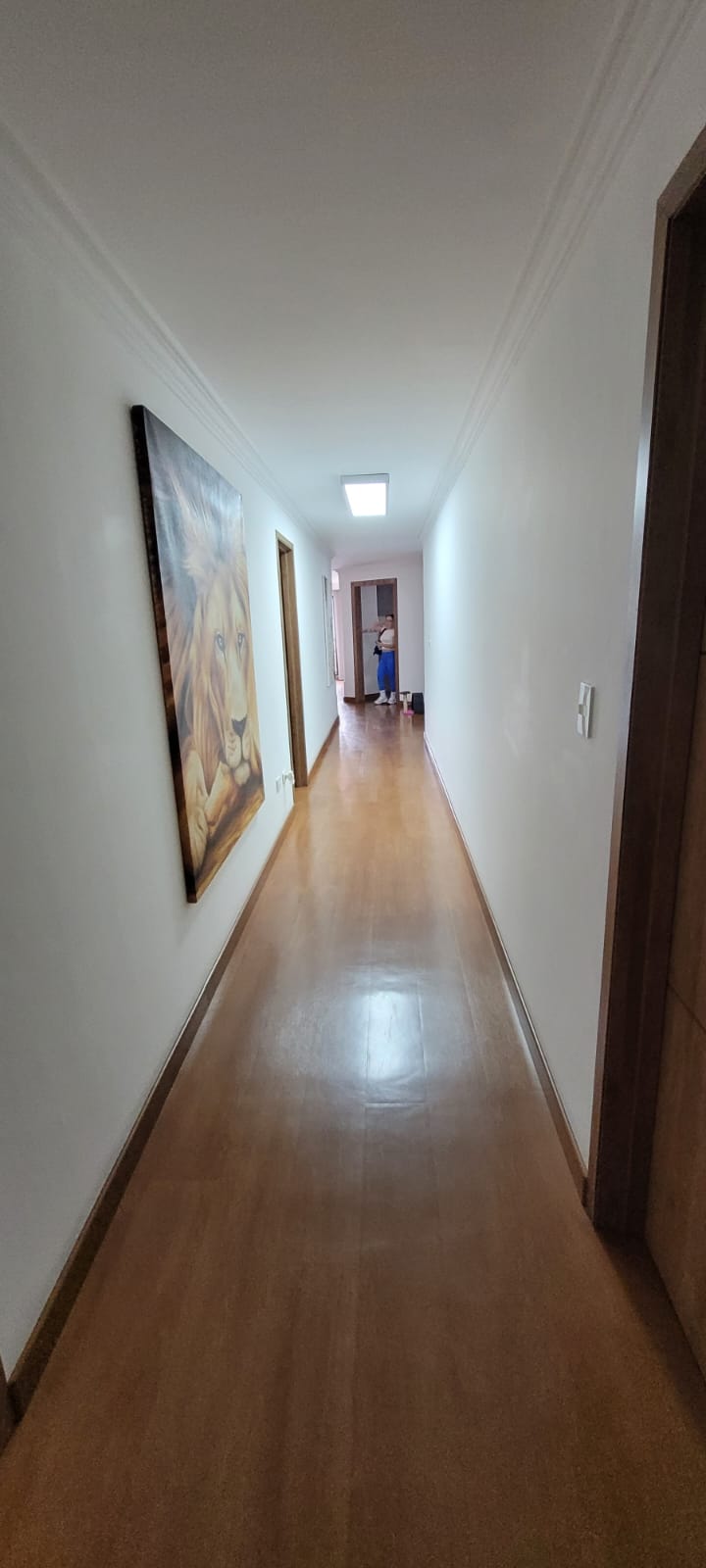 Miniatura 27